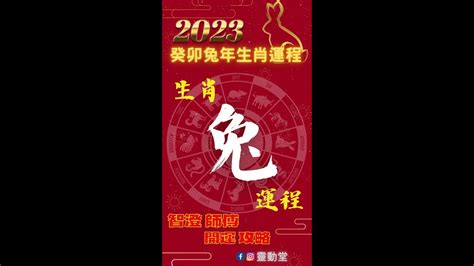 屬兔流年|2025 肖兔流年運程 